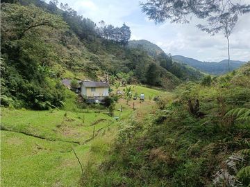 vendo finca el Santuario via a granada, agua, naturaleza. 5,5 HA