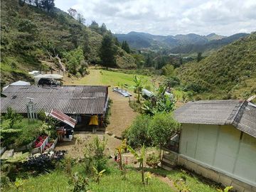 vendo finca el Santuario via a granada, agua, naturaleza. 5,5 HA