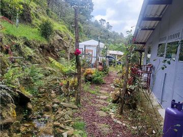 vendo finca el Santuario via a granada, agua, naturaleza. 5,5 HA