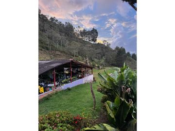 vendo finca el Santuario via a granada, agua, naturaleza. 5,5 HA