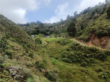 vendo finca el Santuario via a granada, agua, naturaleza. 5,5 HA
