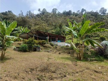 vendo finca el Santuario via a granada, agua, naturaleza. 5,5 HA