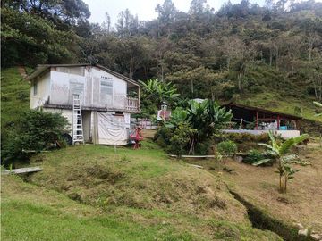 vendo finca el Santuario via a granada, agua, naturaleza. 5,5 HA