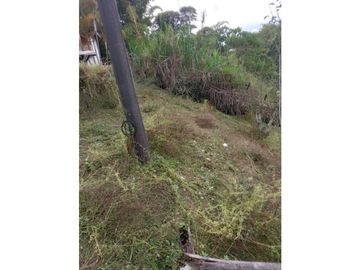 Renta finca