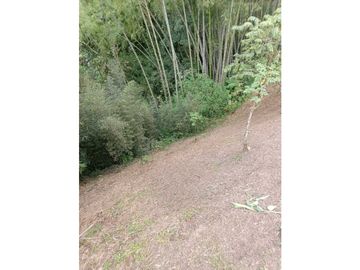 Renta finca
