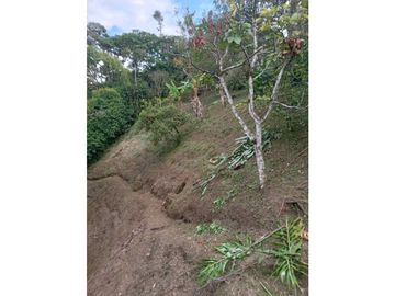 Renta finca