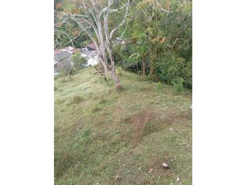 Renta finca