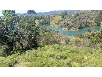 vendo finca el Peñol Antioquia, con acceso a la represa 8 hectáreas