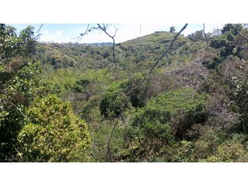 vendo finca el Peñol Antioquia, con acceso a la represa 8 hectáreas