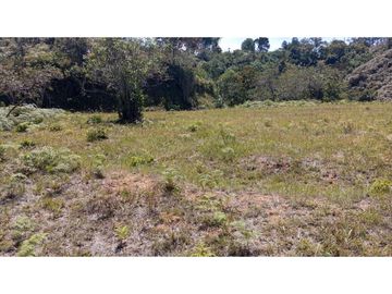 vendo finca el Peñol Antioquia, con acceso a la represa 8 hectáreas