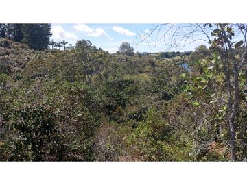 vendo finca el Peñol Antioquia, con acceso a la represa 8 hectáreas