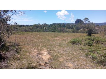 vendo finca el Peñol Antioquia, con acceso a la represa 8 hectáreas