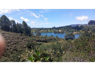 vendo finca el Peñol Antioquia, con acceso a la represa 8 hectáreas