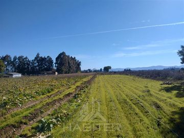 Parcela en Venta en Callejon 1 norte