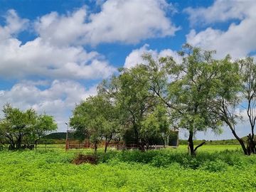 TERRENO EN VENTA EN DOCTOR GONZALEZ
