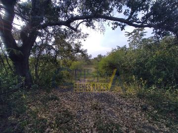 HERMOSO RANCHO EN VENTA UBICADO EN EL KILÓMETRO 7 DE LA CARRETERA QUE CONECTA LA VICTORIA CON CAZONES