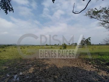 EXCELENTE RANCHO EN VENTA EN TUXPAN, VER