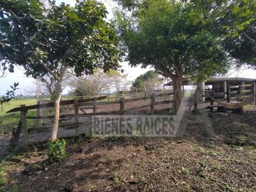 EXCELENTE RANCHO EN VENTA EN TUXPAN, VER