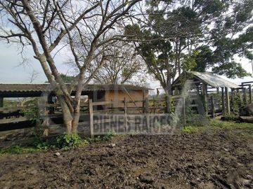 EXCELENTE RANCHO EN VENTA EN TUXPAN, VER