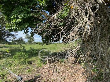 EXCELENTE RANCHO EN VENTA EN TUXPAN, VER