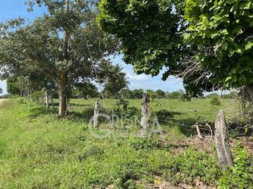 EXCELENTE RANCHO EN VENTA EN TUXPAN, VER