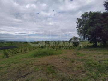 PRECIOSO RANCHO AGRÍCOLA EN BALCÁZAR, MUY CERCA DE TUXPAN, VER.