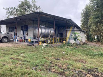 PRECIOSO RANCHO AGRÍCOLA EN BALCÁZAR, MUY CERCA DE TUXPAN, VER.