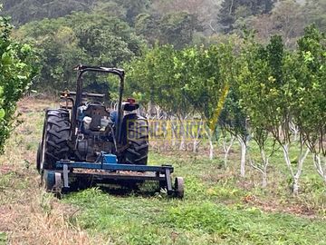 PRECIOSO RANCHO AGRÍCOLA EN BALCÁZAR, MUY CERCA DE TUXPAN, VER.