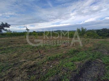 PRECIOSO RANCHO AGRÍCOLA EN BALCÁZAR, MUY CERCA DE TUXPAN, VER.