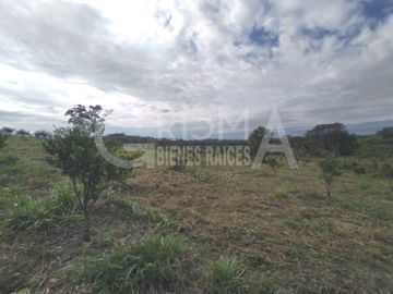 PRECIOSO RANCHO AGRÍCOLA EN BALCÁZAR, MUY CERCA DE TUXPAN, VER.