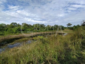 PRECIOSO RANCHO AGRÍCOLA EN BALCÁZAR, MUY CERCA DE TUXPAN, VER.