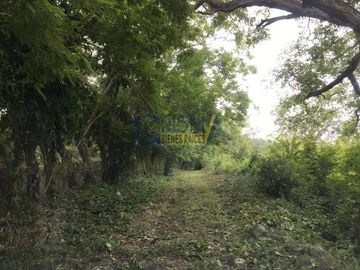 RANCHO EN VENTA EN TEMAPACHE SOBRE CARRETERA A TAMPICO