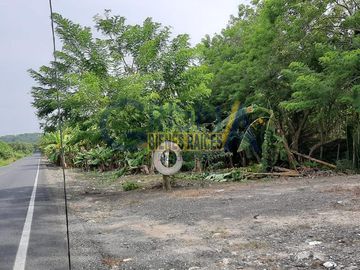 RANCHO EN VENTA EN TEMAPACHE SOBRE CARRETERA A TAMPICO