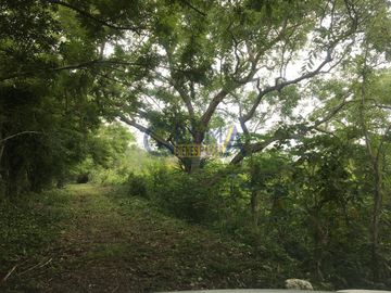 RANCHO EN VENTA EN TEMAPACHE SOBRE CARRETERA A TAMPICO