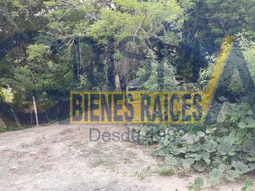 RANCHO EN VENTA EN TEMAPACHE SOBRE CARRETERA A TAMPICO