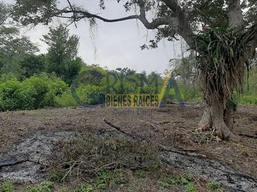 RANCHO EN VENTA EN TEMAPACHE SOBRE CARRETERA A TAMPICO