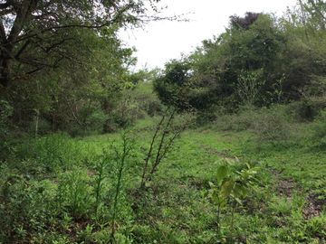 RANCHO EN VENTA EN TAMIAHUA, VERACRUZ