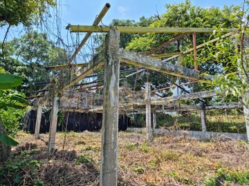RANCHO CON TODAS LAS INSTALACIONES DE UNA  EMPACADORA DE LIMÓN.