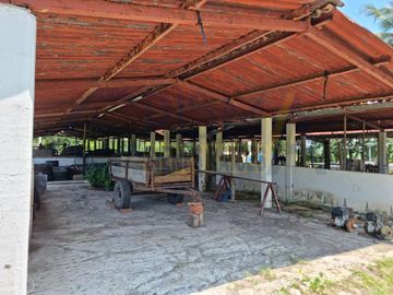 RANCHO CON TODAS LAS INSTALACIONES DE UNA  EMPACADORA DE LIMÓN.