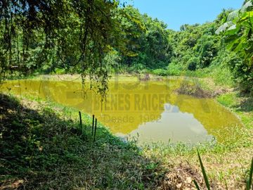 RANCHO CON TODAS LAS INSTALACIONES DE UNA  EMPACADORA DE LIMÓN.
