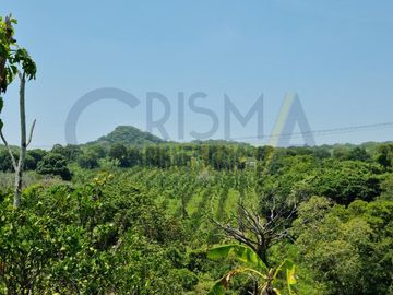 RANCHO CON TODAS LAS INSTALACIONES DE UNA  EMPACADORA DE LIMÓN.