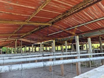 RANCHO CON TODAS LAS INSTALACIONES DE UNA  EMPACADORA DE LIMÓN.