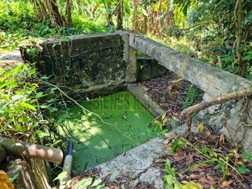 RANCHO CON TODAS LAS INSTALACIONES DE UNA  EMPACADORA DE LIMÓN.