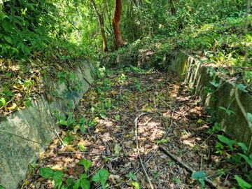RANCHO CON TODAS LAS INSTALACIONES DE UNA  EMPACADORA DE LIMÓN.
