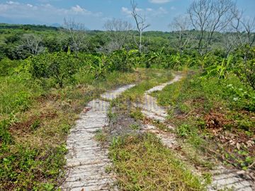RANCHO CON TODAS LAS INSTALACIONES DE UNA  EMPACADORA DE LIMÓN.