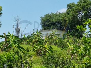 RANCHO CON TODAS LAS INSTALACIONES DE UNA  EMPACADORA DE LIMÓN.