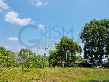 RANCHO CON TODAS LAS INSTALACIONES DE UNA  EMPACADORA DE LIMÓN.