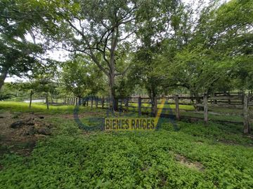RANCHO DE LUJO EN VENTA EN CHALAHUITE A 39 MINUTOS DE TUXPAN