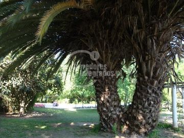 Parcela en Venta en Aparición Subdivisión Parcela 13-B Paine
