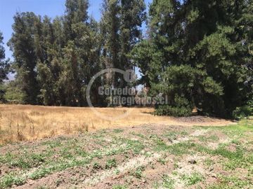 Parcela en Venta en Aparición Subdivisión Parcela 13-B Paine